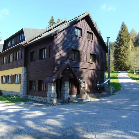 Medvědín