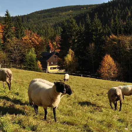 Medvedin