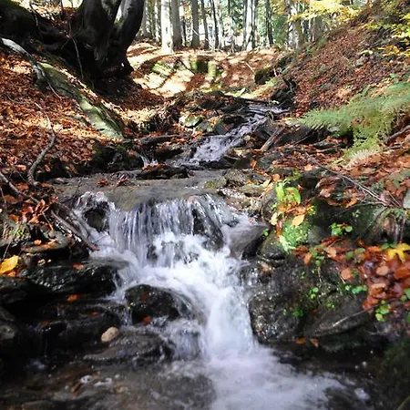 Medvědín