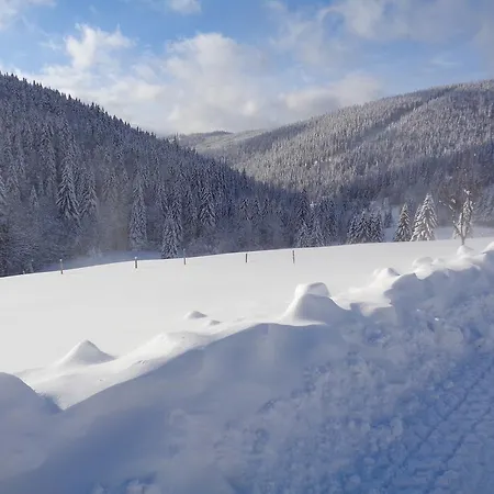 Alpstuga Medvedin Dolni Misecky