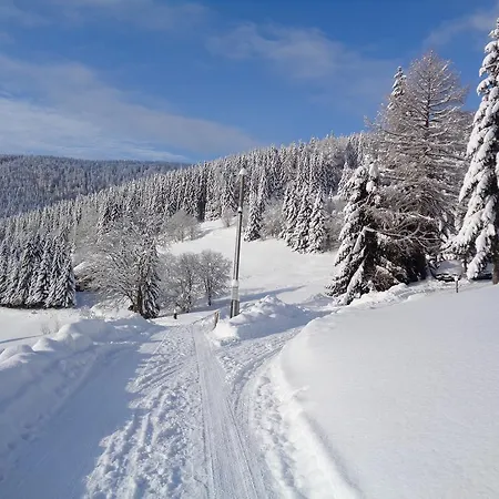 Medvedin Alpesi faház *