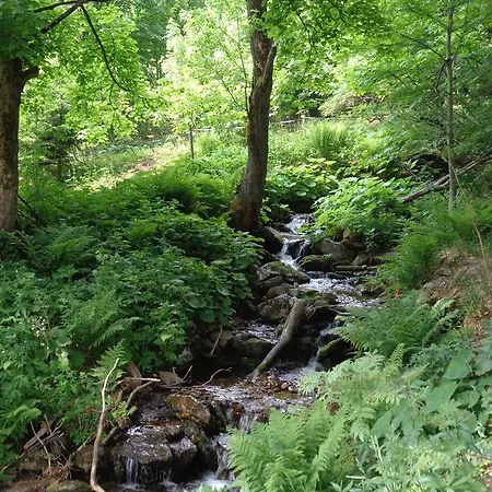 Medvedin * Dolni Misecky