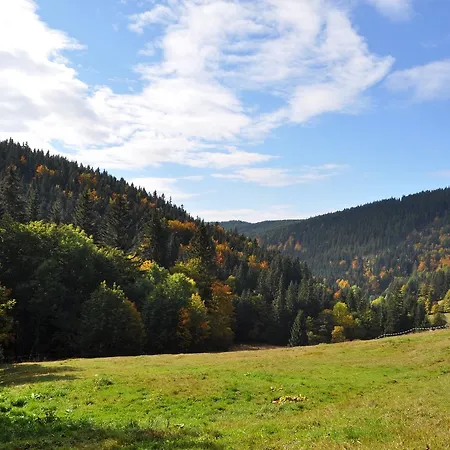 Domek alpejski Medvedin *