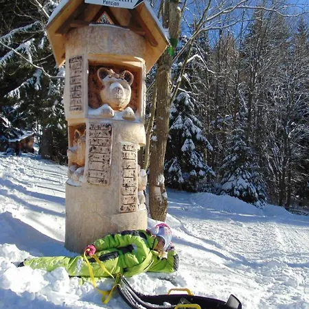 Medvedin Alpstuga Dolni Misecky