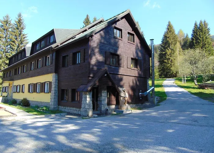 Medvědín