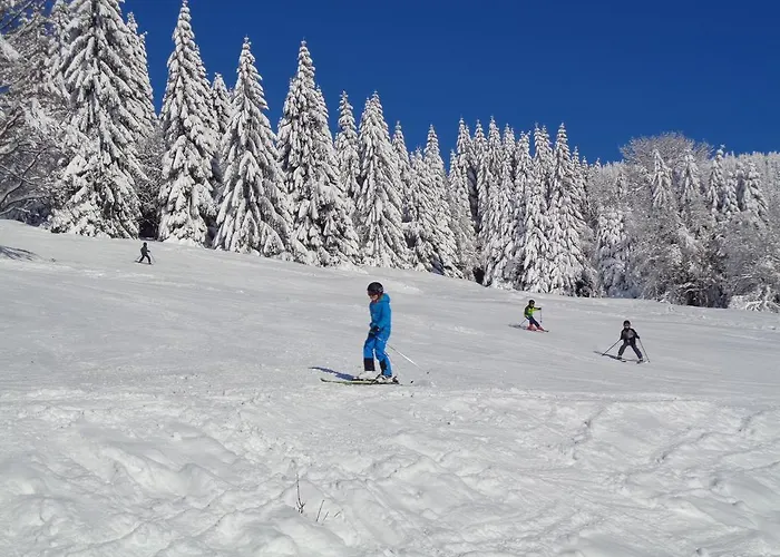 Medvědín