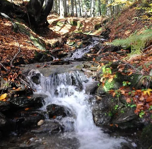 Medvědín