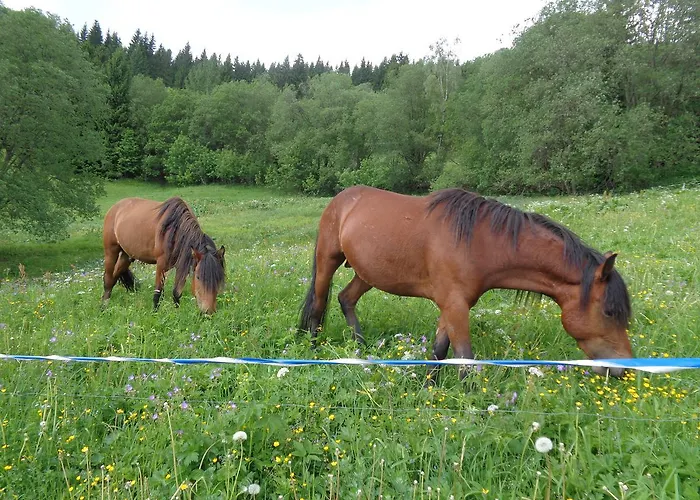 Horská chata Medvědín Dolni Misecky