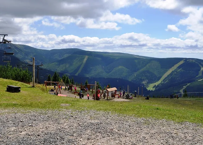 Medvědín