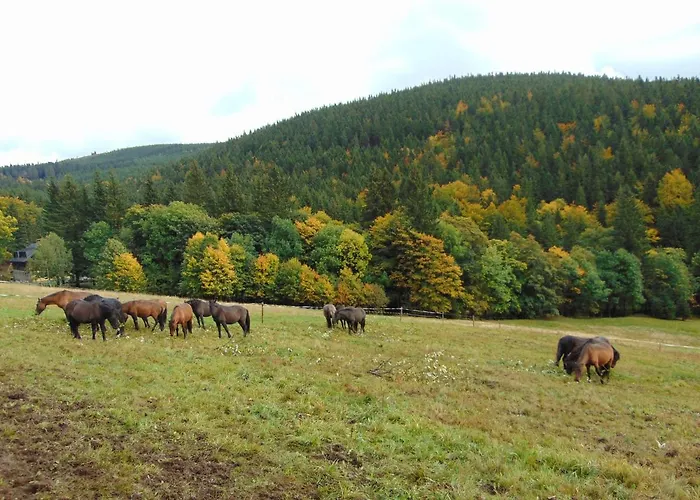 Horská chata Medvědín Dolni Misecky